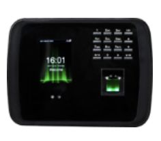 Face T&A Device