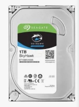 Seagate Skyhawk (1TB HDD storage)